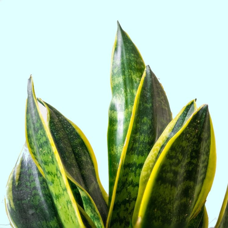 LA-DI-DA SALON & MED-SPA